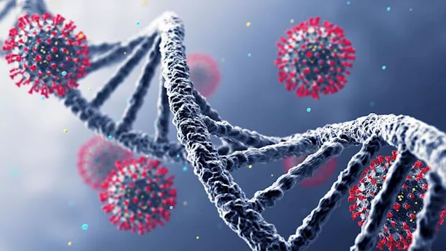 الحمى النزفية