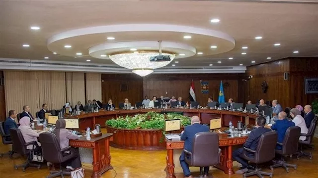 مجلس جامعة طنطا