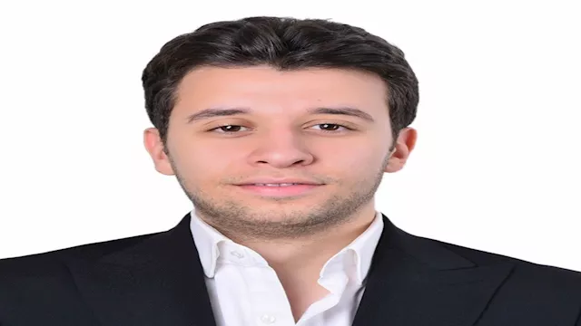 محمود حماده أبو السعود