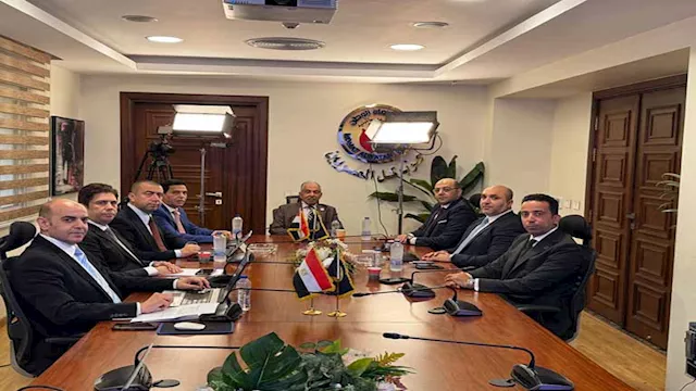 غرفة عمليات حزب حماة الوطن