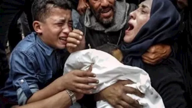  11 شهيدا في غزة