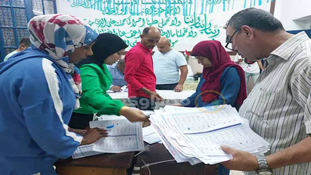  فرز الأصوات في انتخابات مجلس الشيوخ