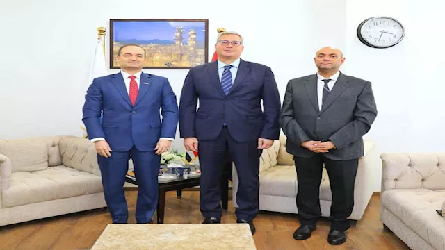 المهندس كريم بدوي