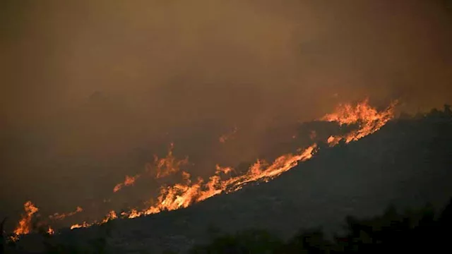 حرائق الغابات