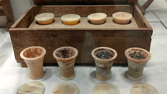  متحف شرم الشيخ يعرض صندوقًا أثريًا لأدوات التجميل