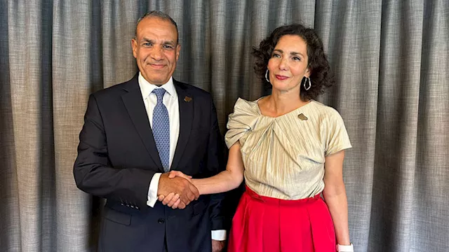 وزير الخارجية يلتقي المفوضة الأوروبية