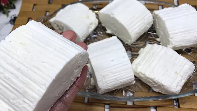 الجبن القريش