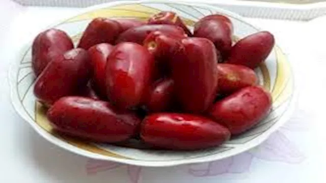 البلح الأحمر