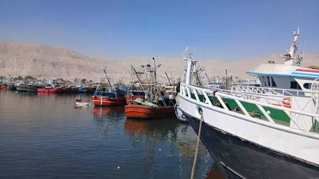 انطلاق أولى رحلات صيد الشانشولا بجنوب سيناء