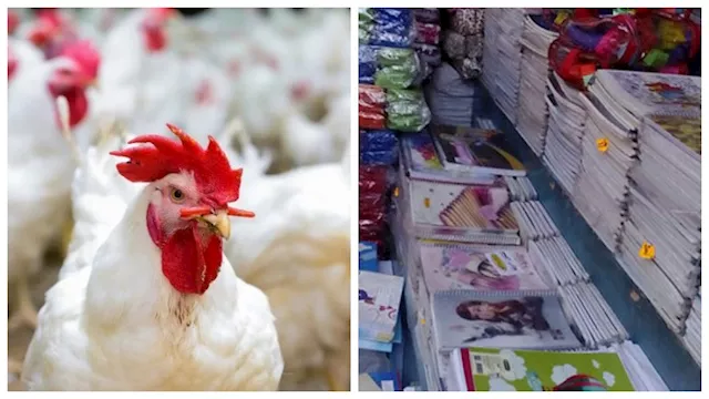 تراجع أسعار الدواجن بسبب دخول المدارس