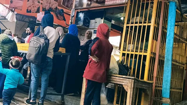 غياب تفعيل شعبة الدواجن يرفع الأسعار على المواطنين