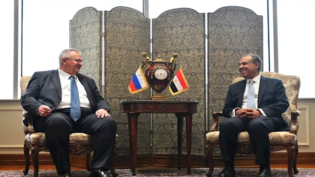 وزير الخارجية المصري بدر عبد العاطي ونائب رئيس الو