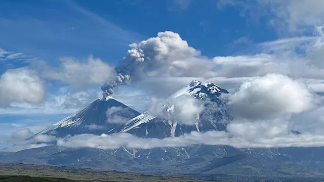 هزة ارتدادية