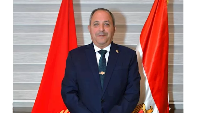 المستشار محمد الشناوي