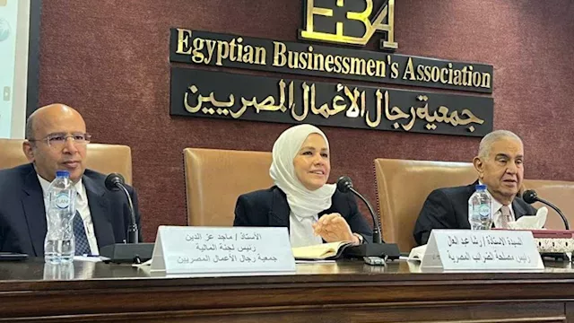 رشا عبد العال رئيس مصلحة الضرائب المصرية