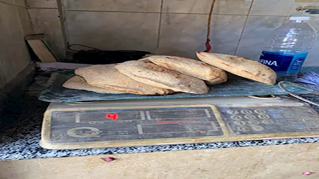  جولة مفاجئة على المخابز