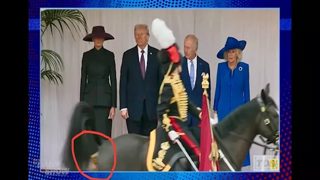 فيديو طريف.. حصان يخطف الأنظار خلال زيارة ترامب إل