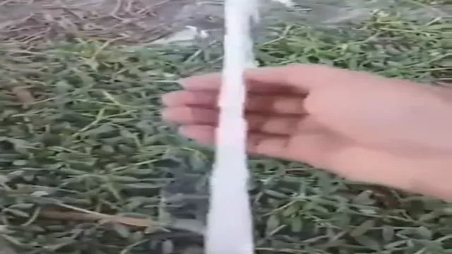 مفاجأة غريبة.. مياه بيضاء كاللبن تتدفق من منازل مد