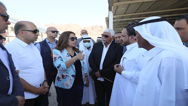 الدكتورة منال عوض