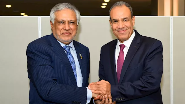 عبد العاطي ونظيره الباكستاني