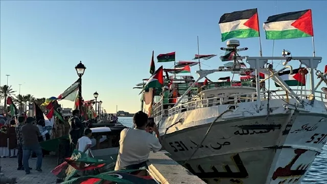  أسطول الصمود العالمي