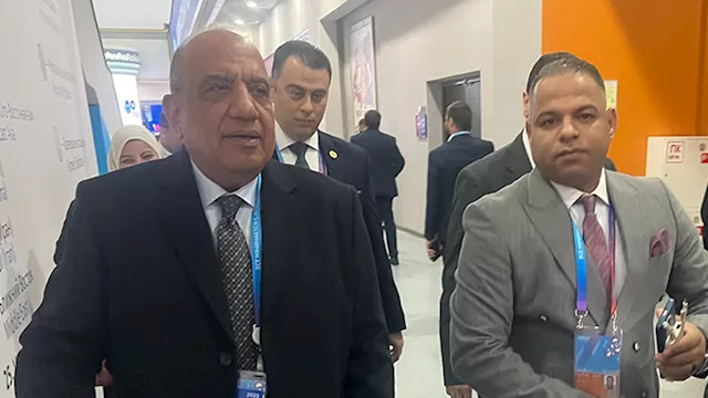 الدكتور محمود عصمت، وزير الكهرباء