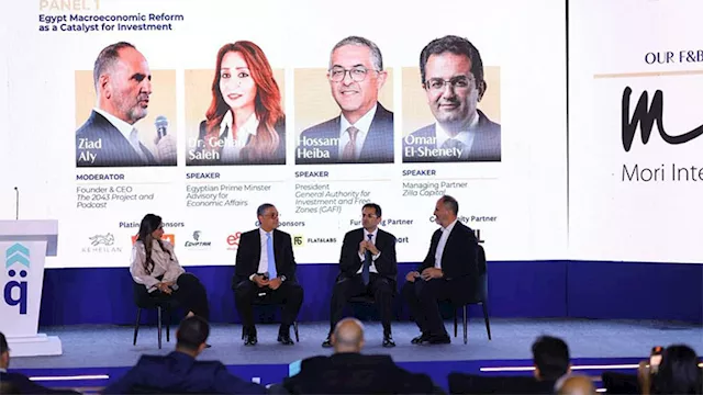 Egypt’s Investment Authority Pledges 20-Day Digital Approval Window With New Law