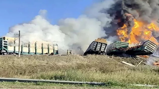 صورة تعبيرية