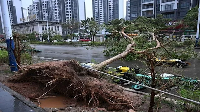 صورة تعبيرية