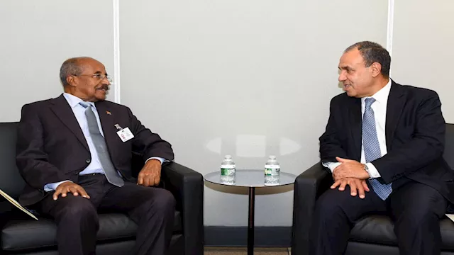 وزير الخارجية المصري ونظيره الأريتري