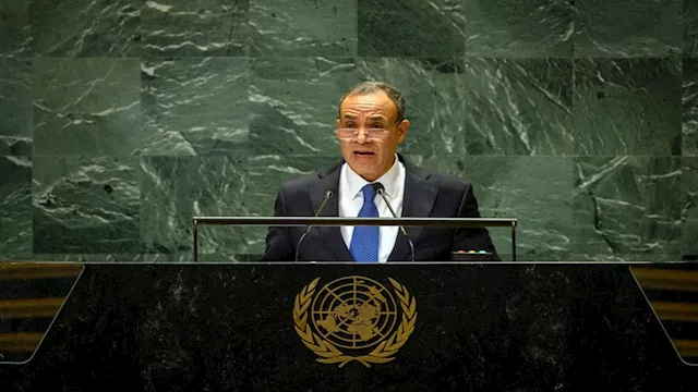 الدكتور بدر عبد العاطي