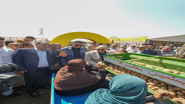 برنامج زراعه البطاطس