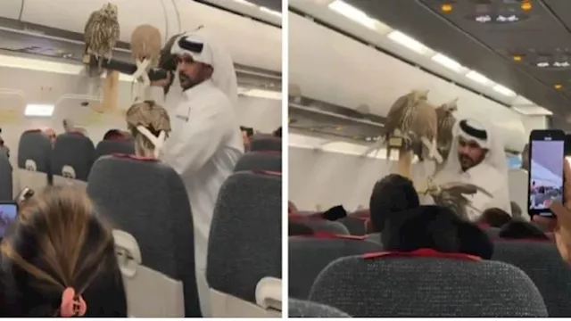 صورة تعبيرية