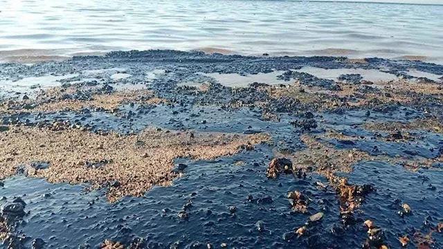 تسرب نفطي برأس غارب