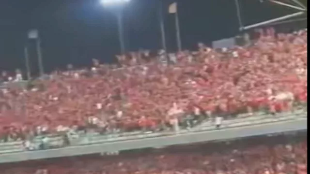 جماهير الزمالك