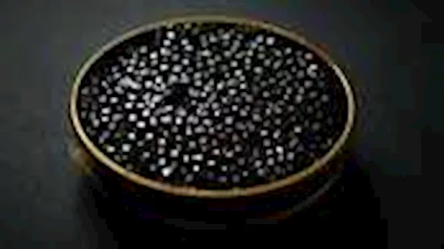 بيض الكافيار أغلى بيض في العالم