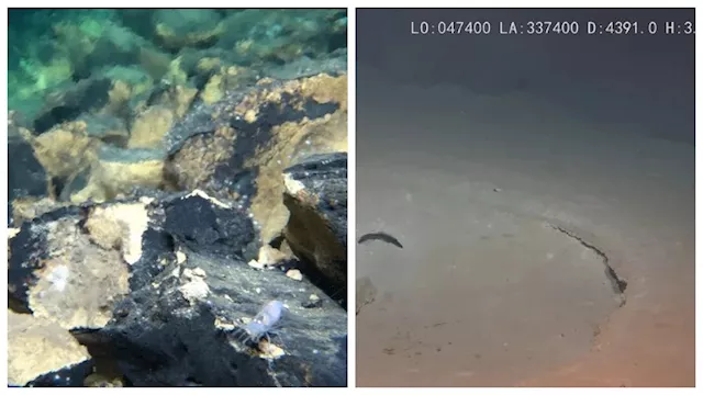 اكتشاف ضخم في أعماق المحيط الهادئ