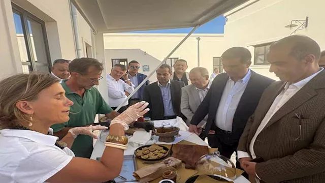 وزيرا الزراعة والشؤون النيابية يتفقدان أحد النماذج