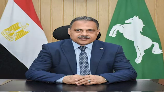 محافظ الشرقية