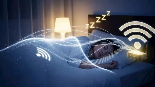 هل يؤثر "الواي فاي" على الدماغ؟.. خبراء يكشفون