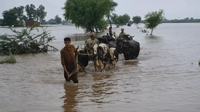 ارتفاع منسوب الأنهار في باكستان