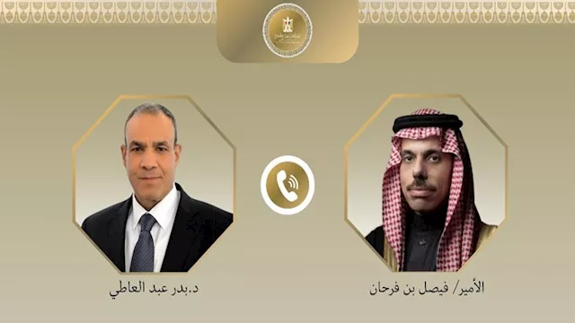 وزيرا خارجية مصر والسعودية يؤكدان رفضهما القاطع لل