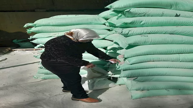 حملات تموينية    أرشيفية