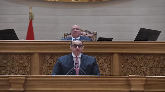 المستشار محمود فوزي