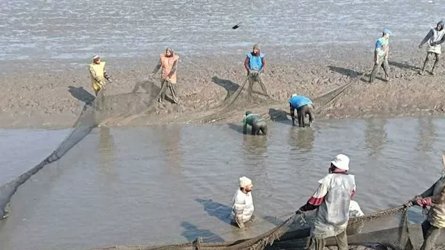 ورشة إقليمية لتعزيز إدارة مصايد الأسماك بالبحر الم