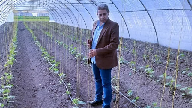 المهندس فخري منصور باز وكيل وزارة الزراعة في كفر ا