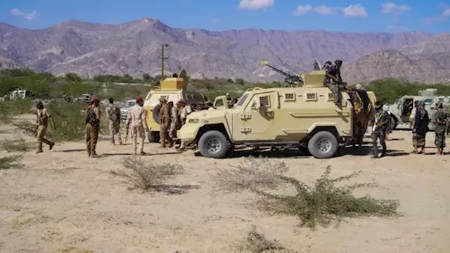 قوات درع الوطن    أرشيفية