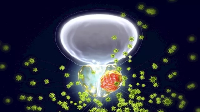 صورة تعبيرية