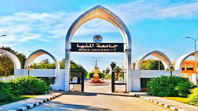 جامعة المنيا