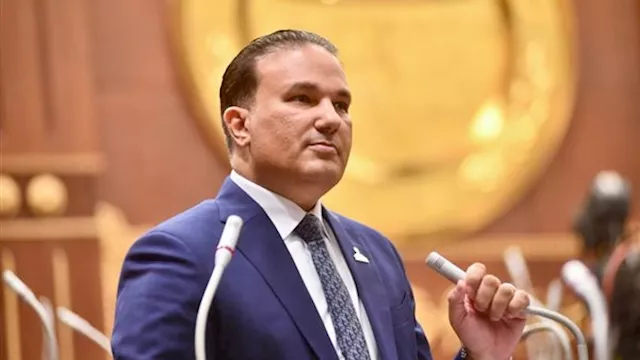 النائب تامر عبدالحميد